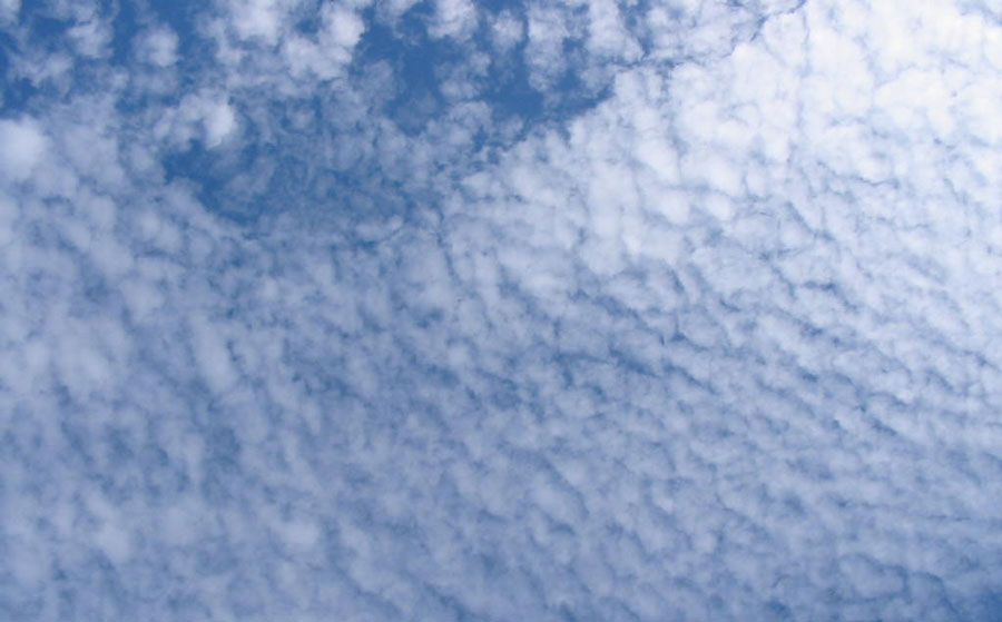 Cirrocumulus